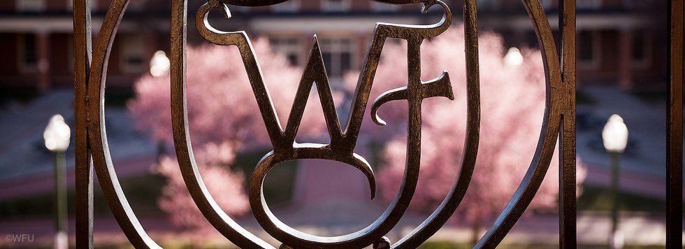 8 Things to Look Forward to This Spring