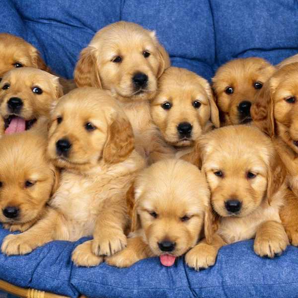 10 Reasons To Smile Today