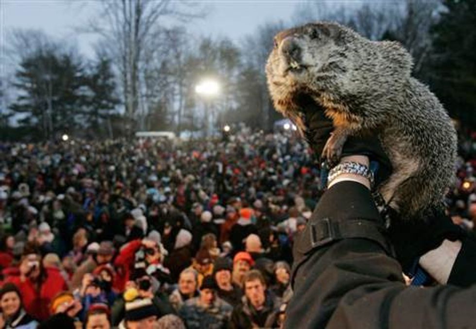 20 Reasons Why The Groundhog Shouldn't Have Seen His Shadow