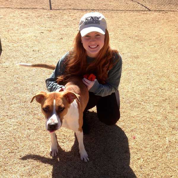 4 Reasons Why You Should Volunteer At Your Local Animal Shelter