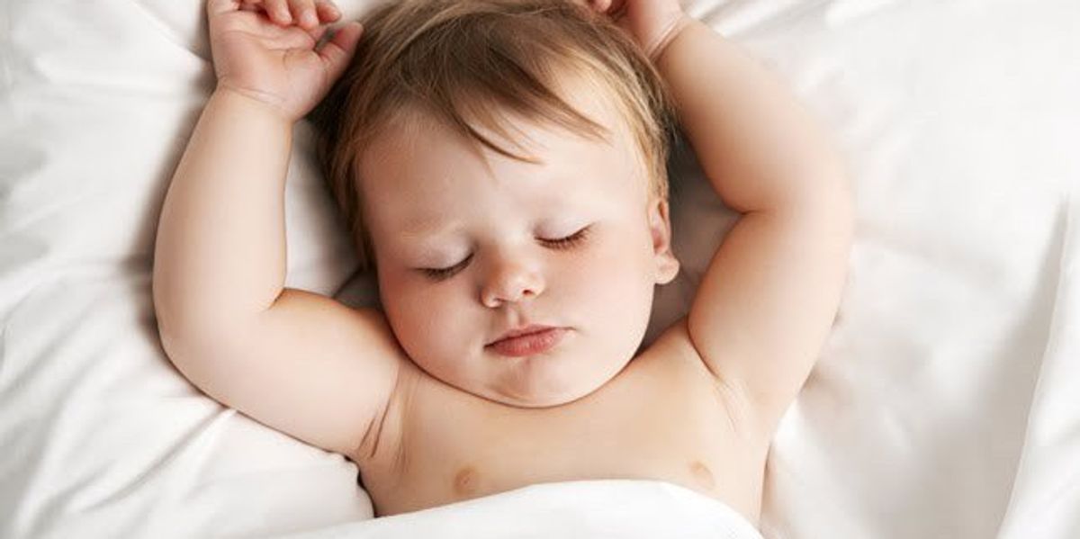 The Art of Napping The Odyssey Online