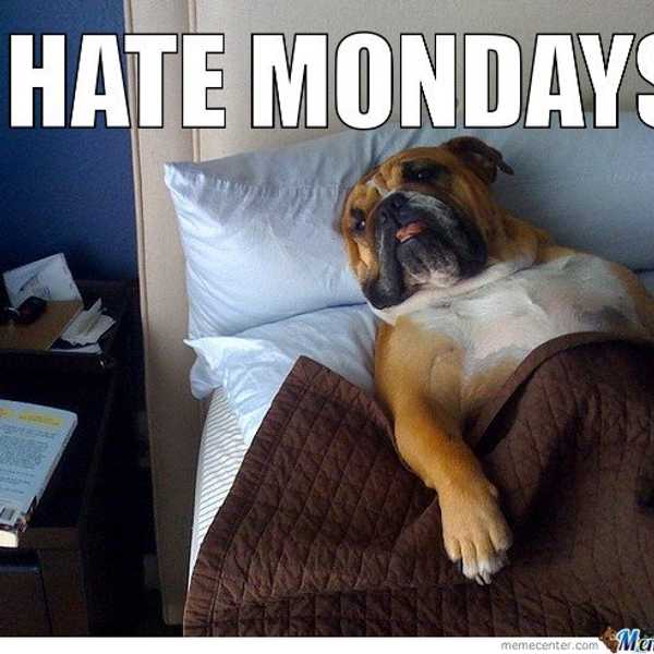 The Best Monday Memes To Get You Through The Week