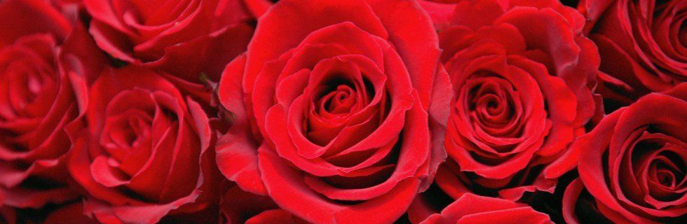 Why Valentine's Day Wasn't So Bad