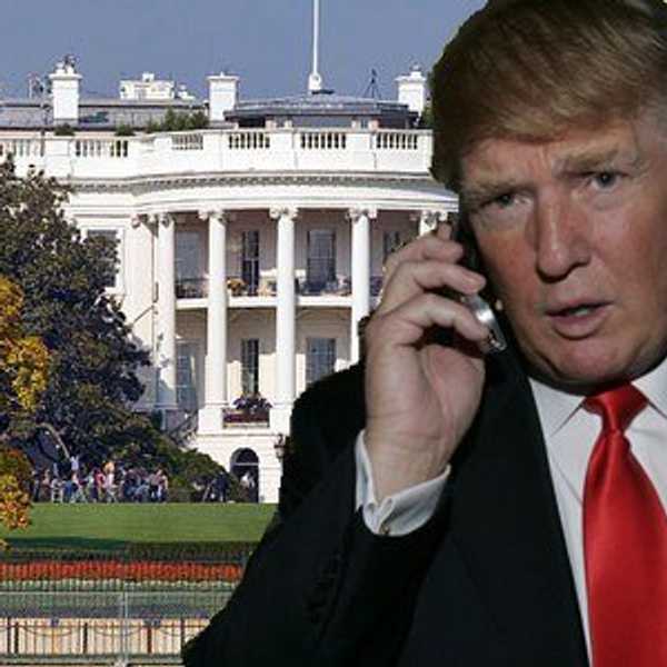 About to Trump the Competition