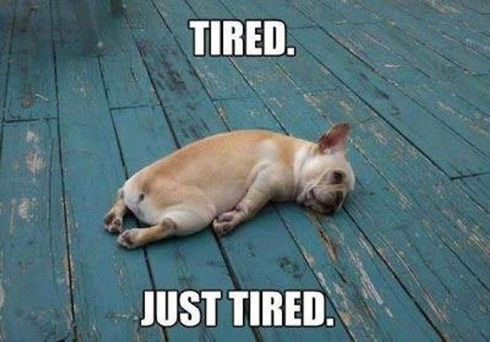 The Stages of Studying for College Midterms