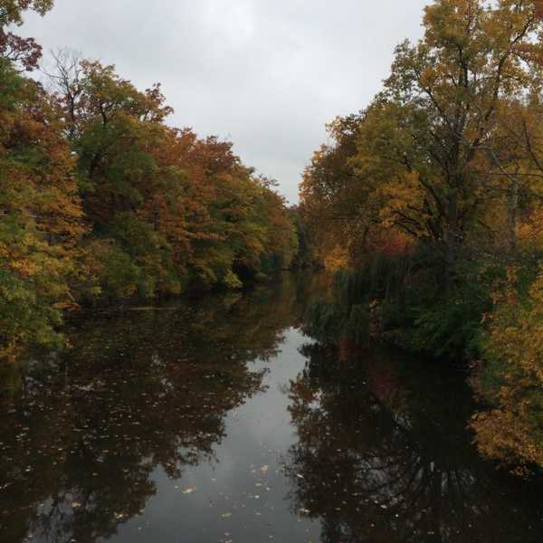 What Makes a School THE School?