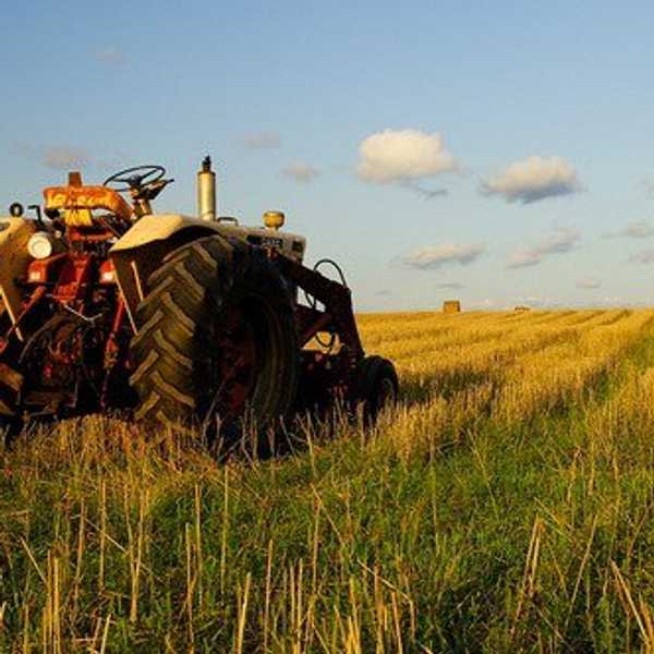 30 Signs You Live in a Small Town