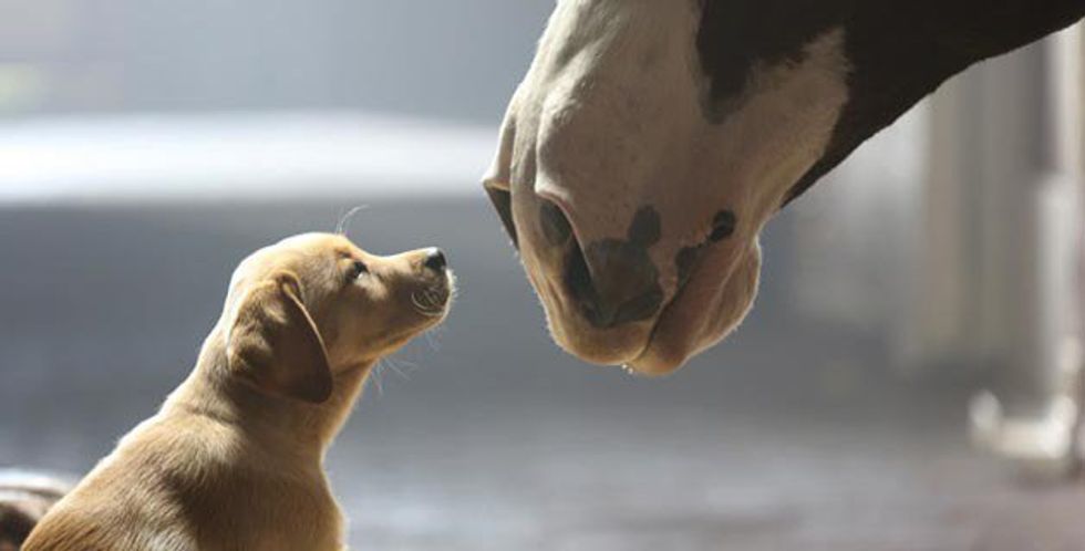 Super Bowl Commercials: 2010 to Now