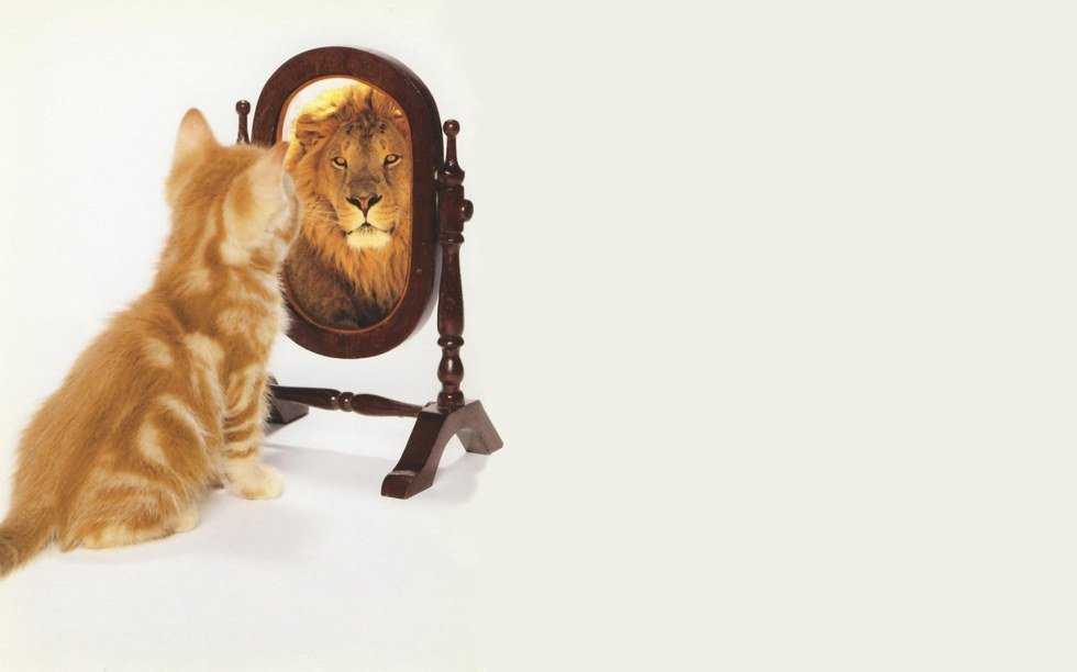 Be Fearless
