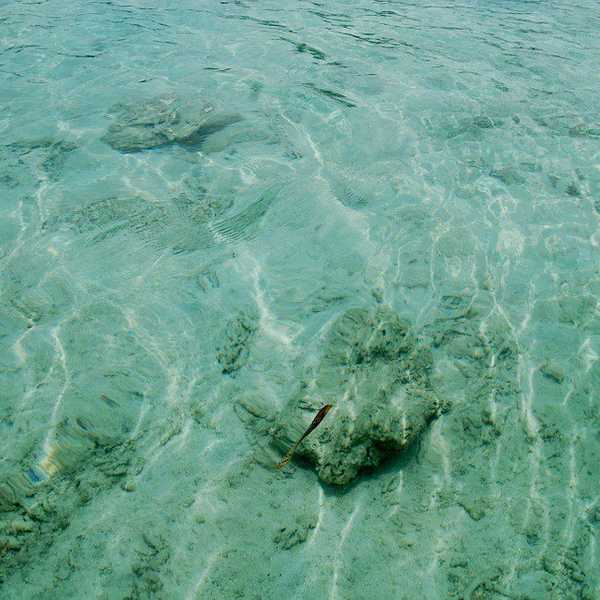 The Clean Water Luxury