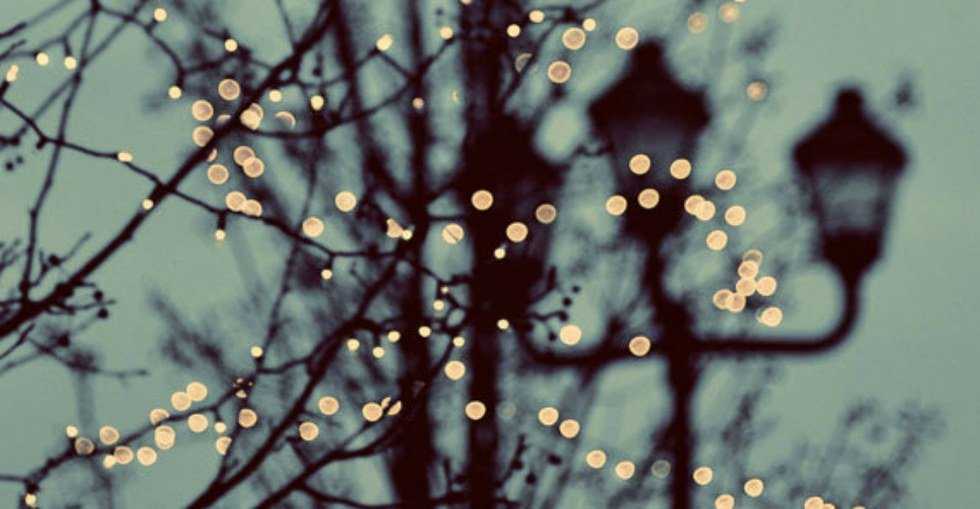 Oh, What Feelings Winter Will Bring
