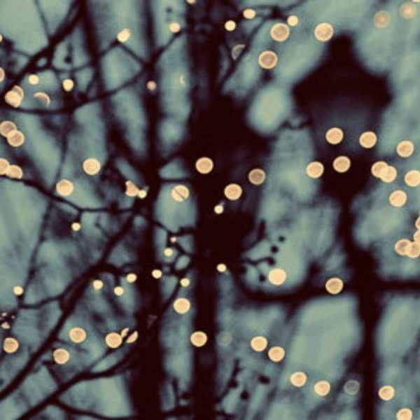 Oh, What Feelings Winter Will Bring