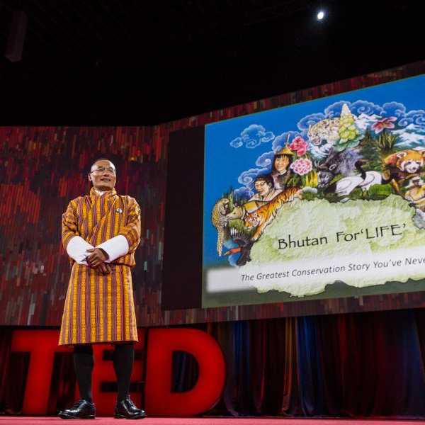 Why Everyone Should Watch TED Talks