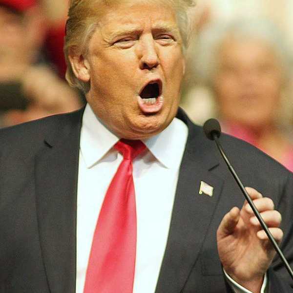 15 Reasons You Shouldn't Vote for Trump