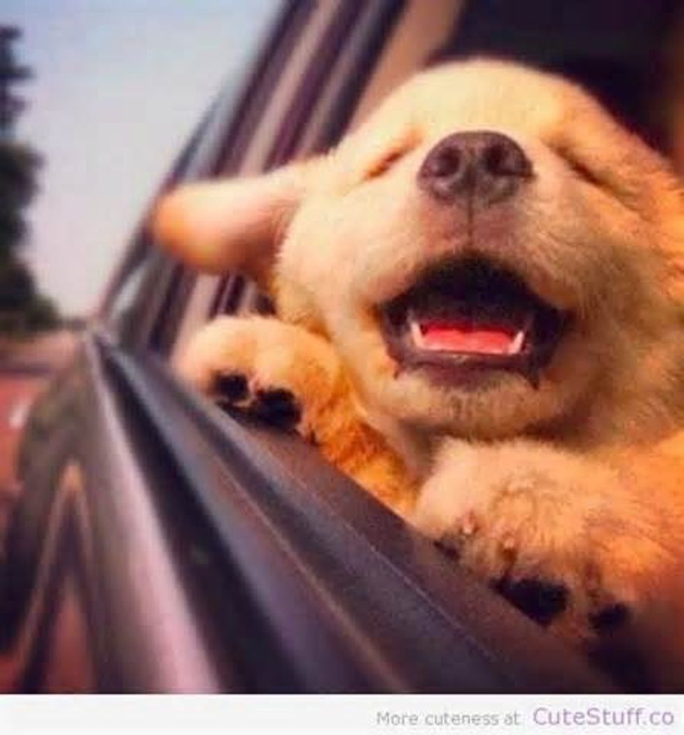 10 Way For The College Student To Stay Happy (Or At Least Sane)