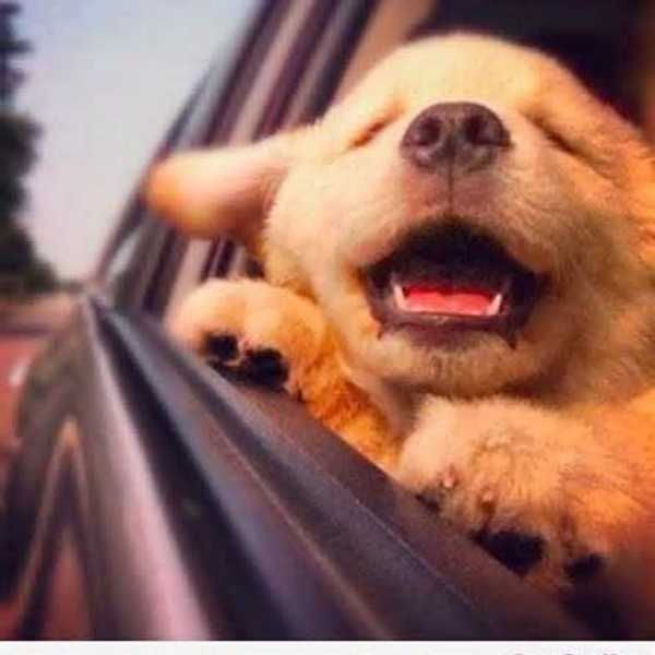 10 Way For The College Student To Stay Happy (Or At Least Sane)