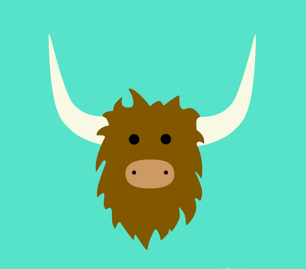 Did You See That Yak?