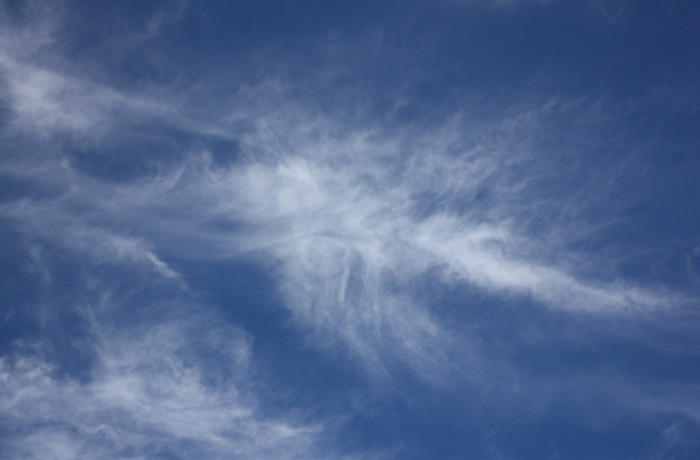 Poetry On Odyssey: Understand