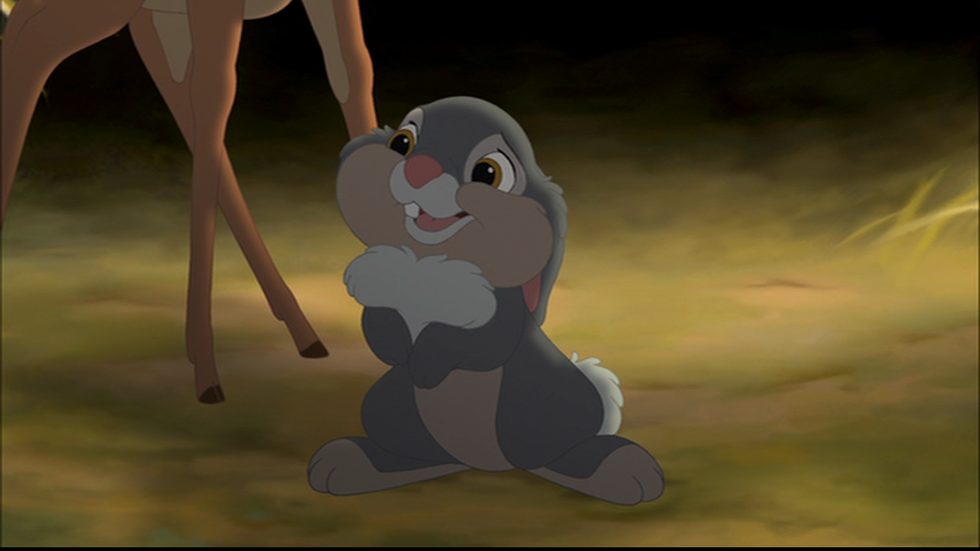 Thumper's Words Of Wisdom