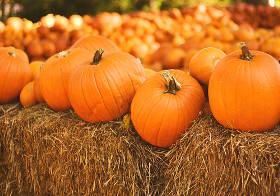 21 Things To Do On Fall Break