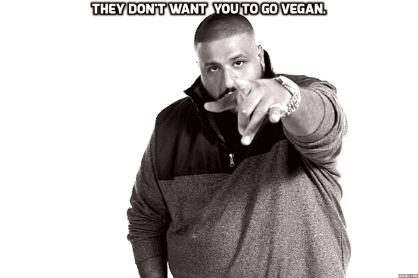 5 Reasons To Transition To A Plant Based Diet