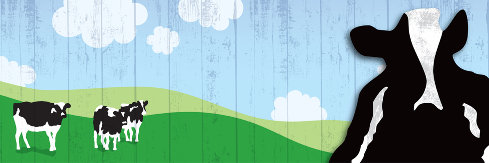 The Definitive Rating Of Ben And Jerry's Flavors