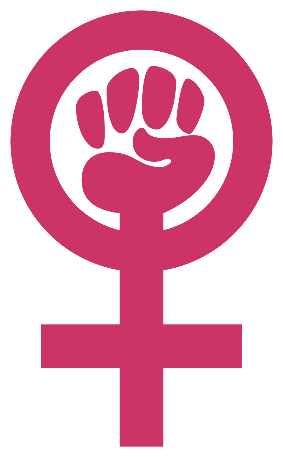 Understanding the Meaning of Feminism