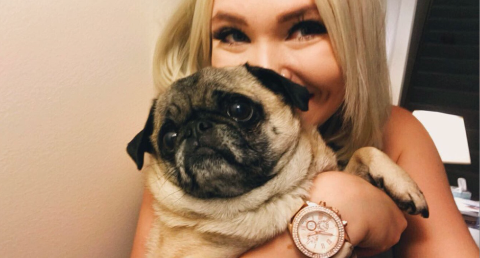 Seven Reasons Pugs are Like Frat Boys