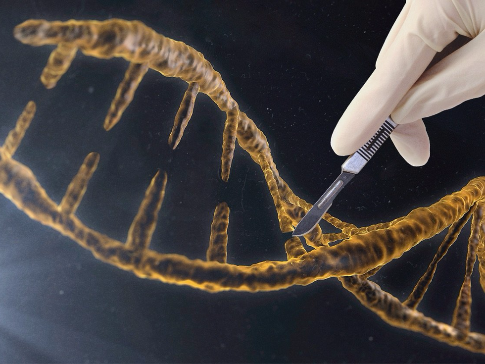 A Huge Scientific Breakthrough: Gene-Editing