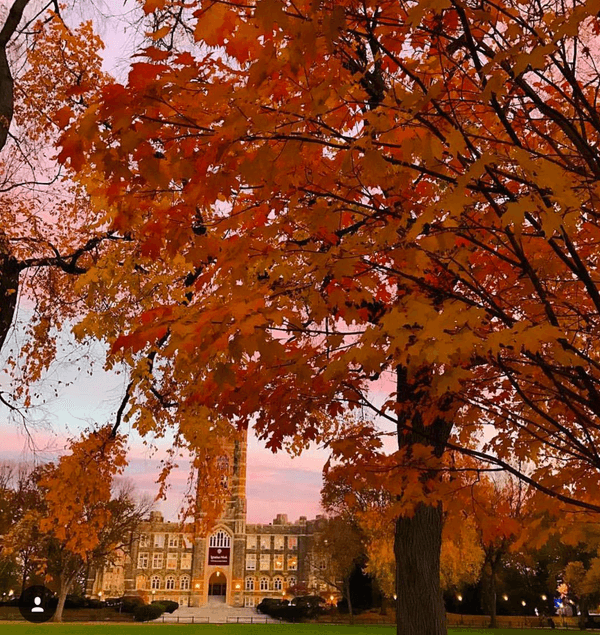 17 Reasons I Can't Wait To Go Back To Fordham In The Fall