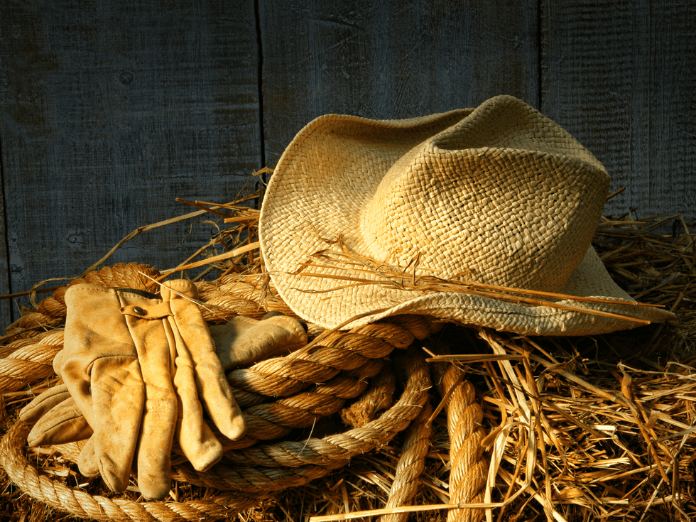 There Are Some Things Only Country Music Fans Understand