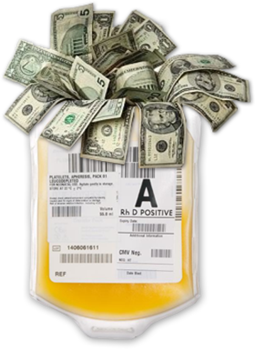 Is Donating To Blood Plasma Services Really Worth That Extra Cash?