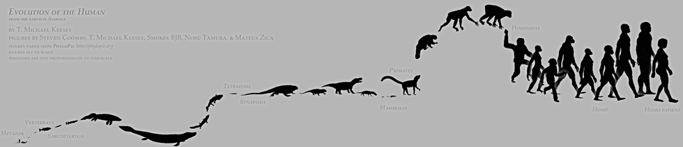5 Interesting Facts about Prehistoric Human Life | The Odyssey Online