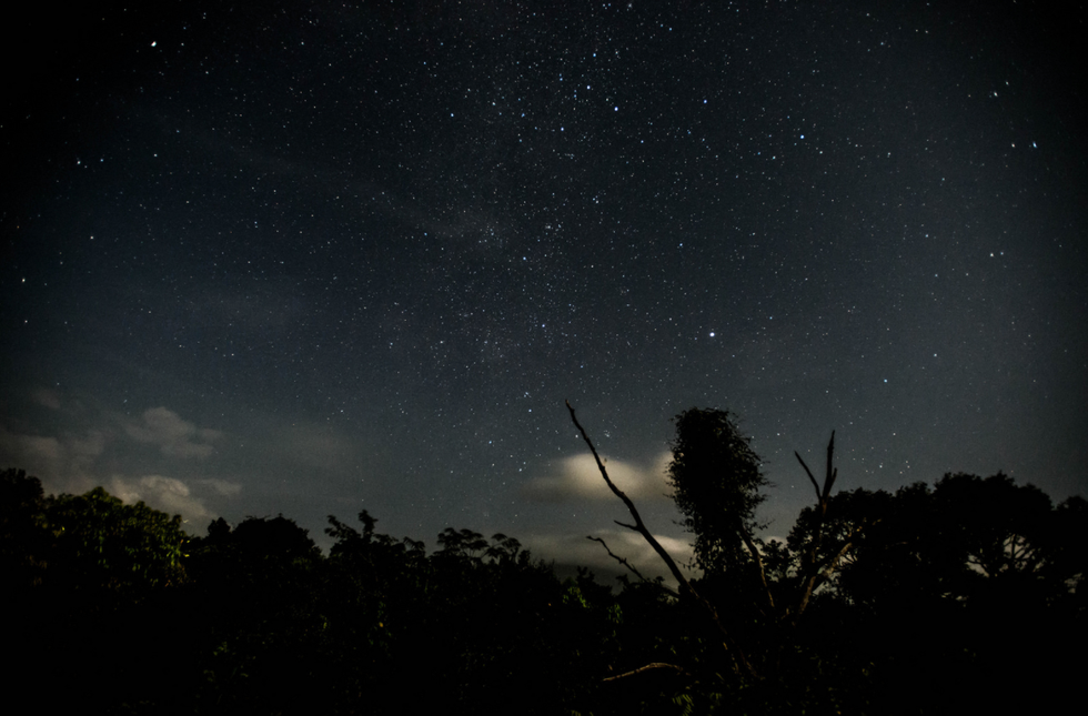 You Are Not In Wonderland, But You Will Be