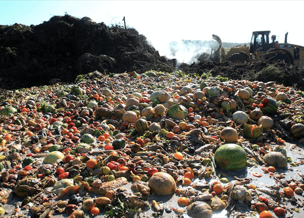 Why You Need to Be More Aware Of The Food You Waste