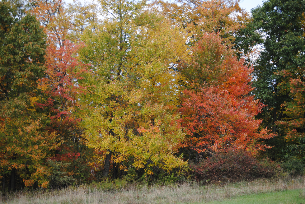 What Are Your Goals?