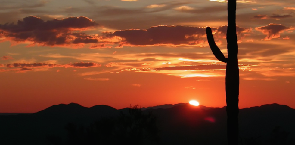 20 Signs You’re Experiencing An AZ Summer