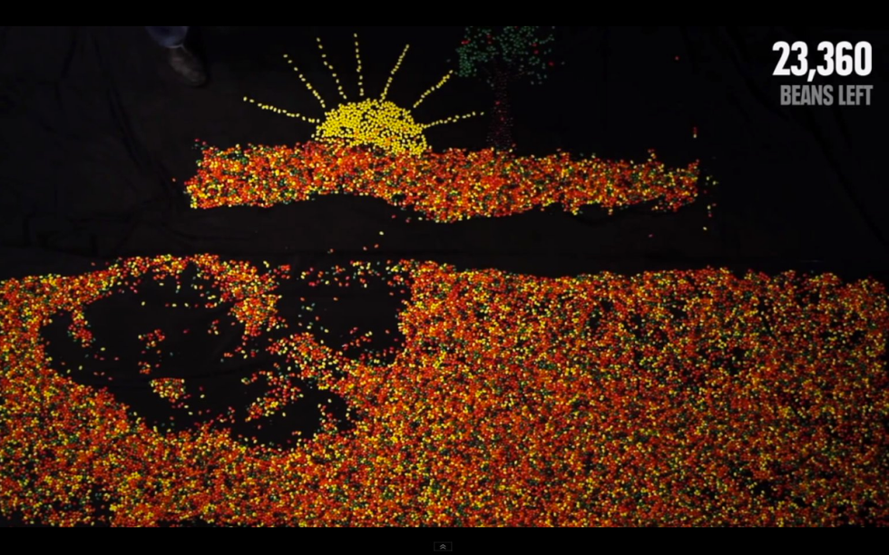 Your Life In Jellybeans