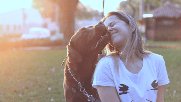 11 Reasons Why Your Best Relationship Is With Your Dog