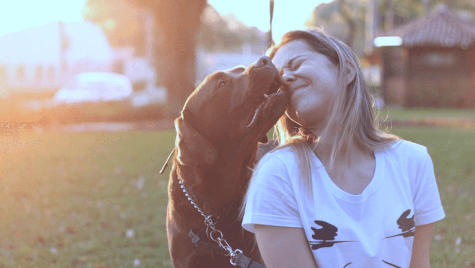 11 Reasons Why Your Best Relationship Is With Your Dog