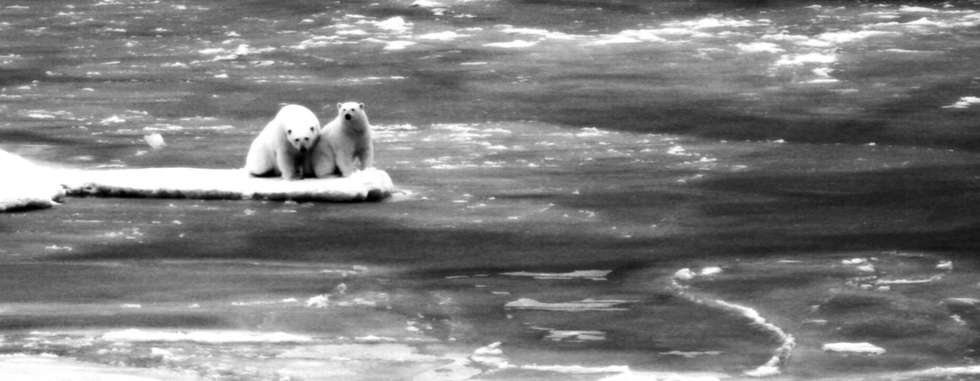 Staying Optimistic In The Face Of Climate Change