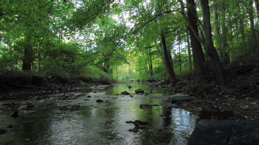 11 Great Outdoor Destinations In Delaware