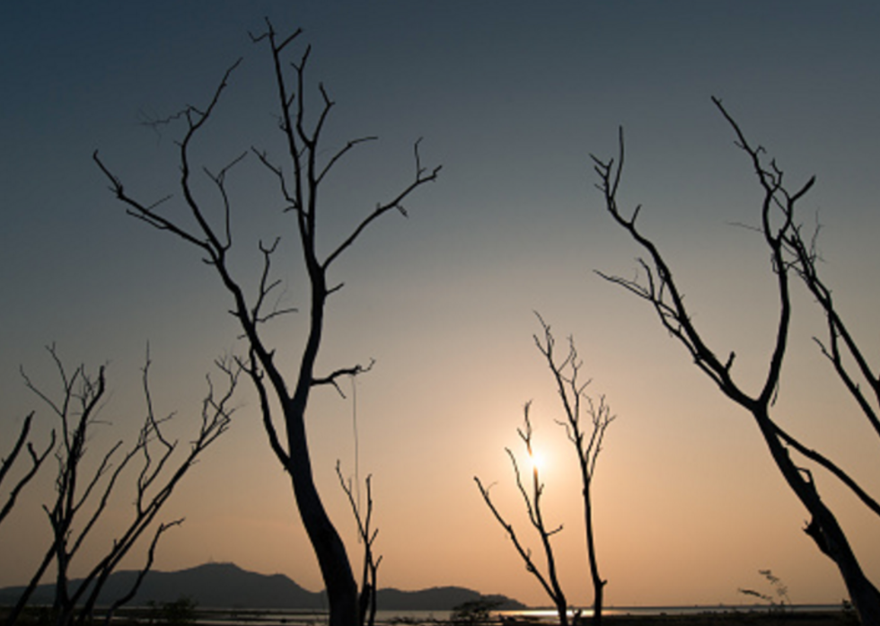 Roger Ailes Is Dead: His Legacy Of Violent Bigotry Lives