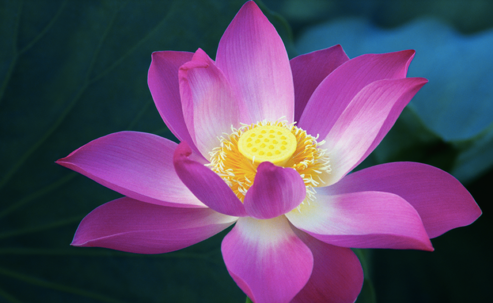 Thanks College Friends