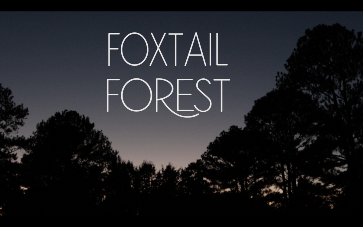 Foxtail Forest