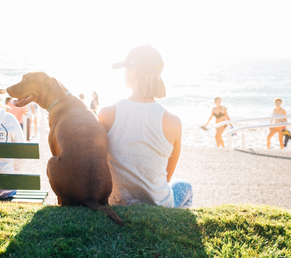 20 Signs You're A Crazy Dog Mom