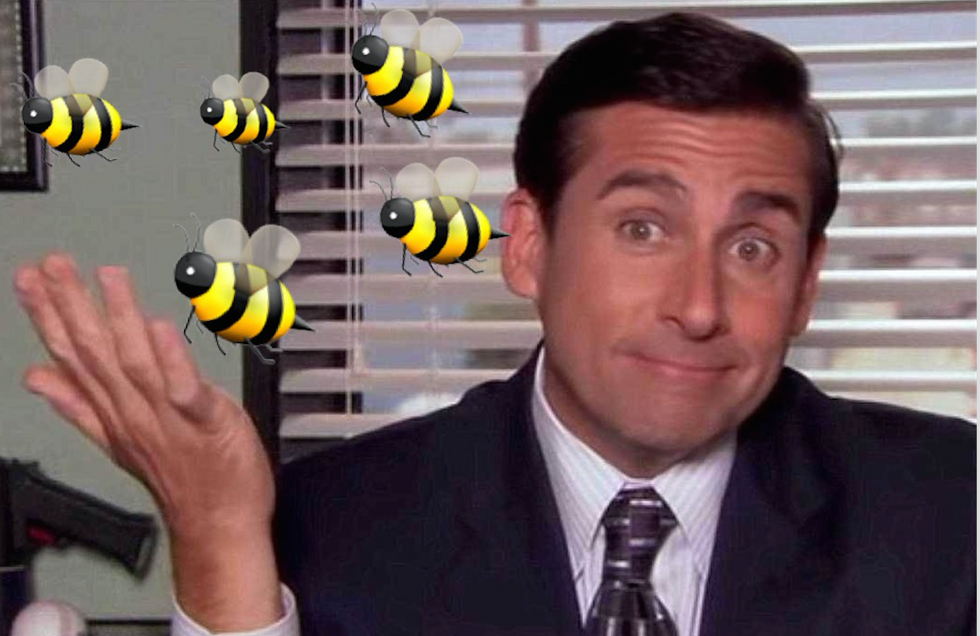 Bee Facts Puncutated With Gifs From The Office
