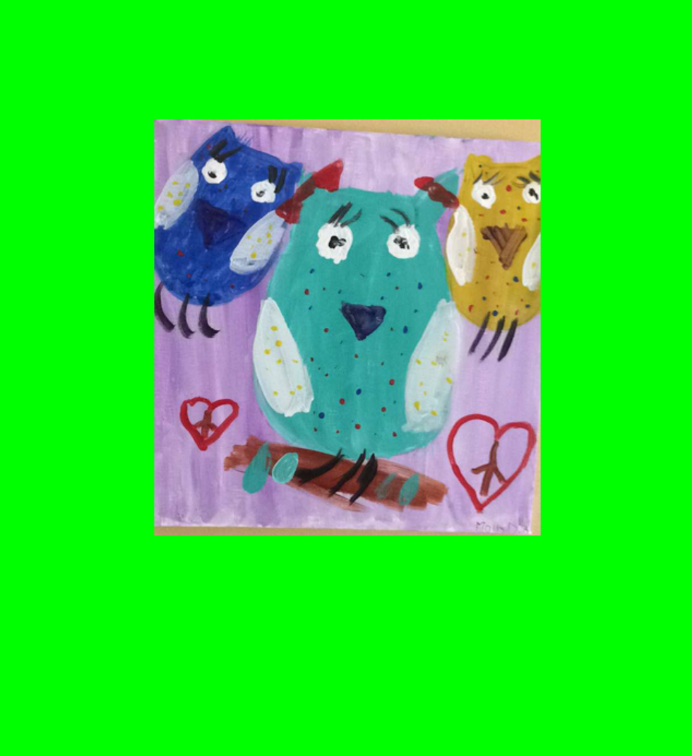 Where the Purple Owls Play