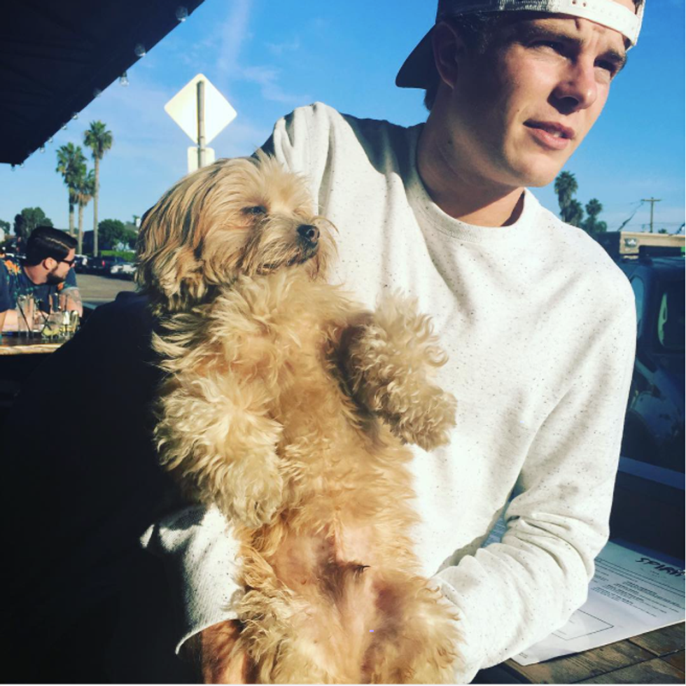 8 Reasons Why You Need A Dog