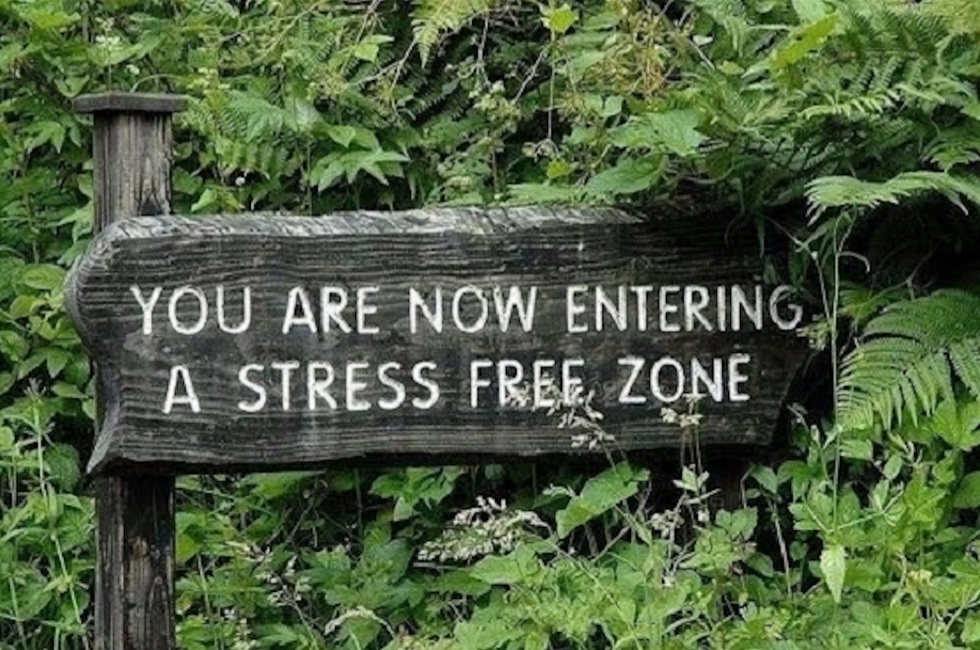 8 Ways To De-Stress In College